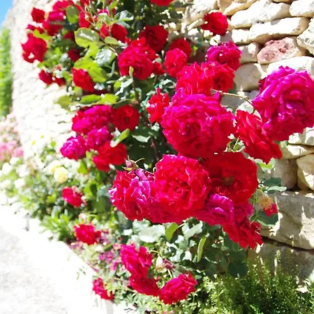 Apartman Kokic Pridraga