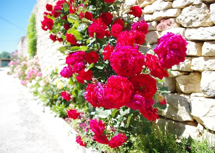 公寓 Kokic Pridraga